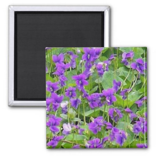 Wisconsin Wood Violets _ Customized Magnet