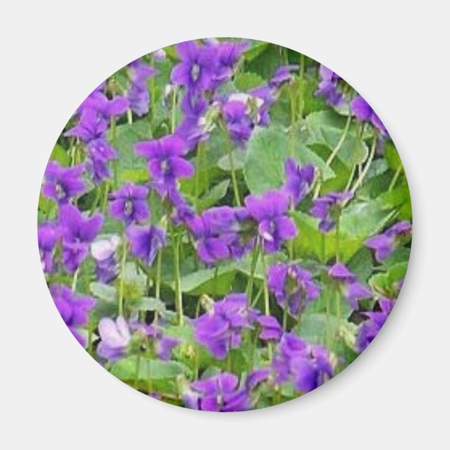 Wisconsin Wood Violets Magnet (Front)