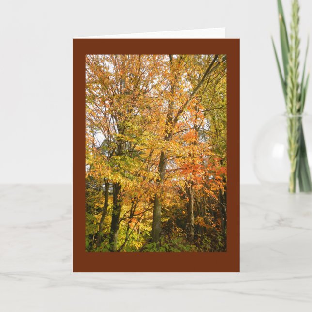 Wisconsin Woodland in Autumn Blank Note Card (Front)