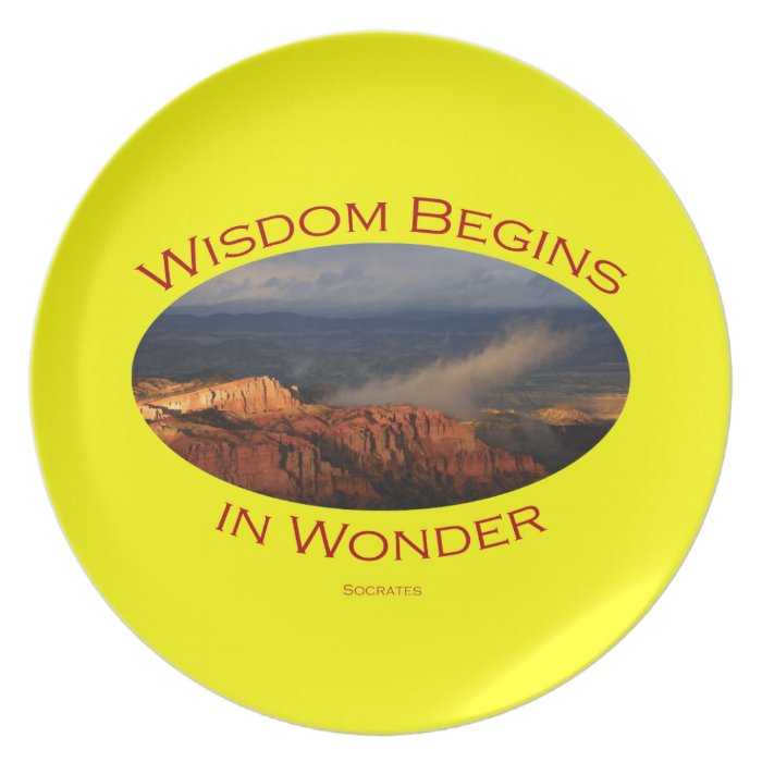 wisdom begins in wonder dinner plate