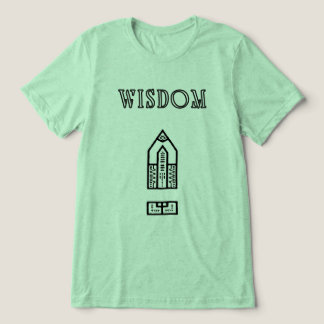 Wisdom bullet arrow Tri-Blend shirt