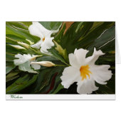 WISDOM CARD 4 (Front Horizontal)