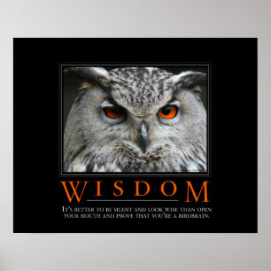 Wisdom Demotivational Poster