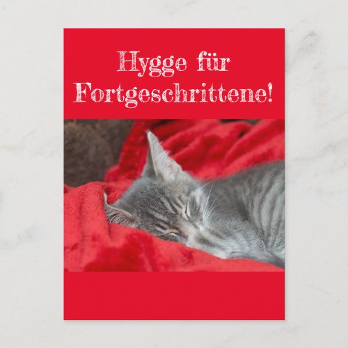 WisdomHumor Hygge  Cat sleeps in red Postcard
