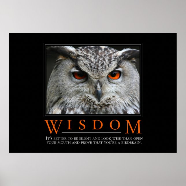 Wisdom Motivational Parody Poster (Front)