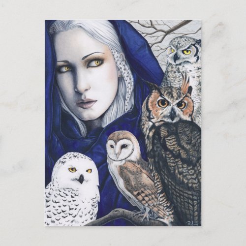 Wisdom Owls Shaman Fantasy Postcard