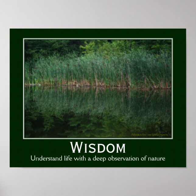 Wisdom Quote Cattails In Pond Inspirational Poster (Front)