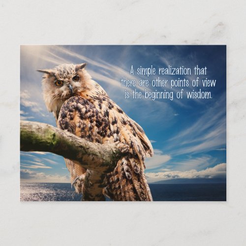 Wisdom Quote Owl postcard