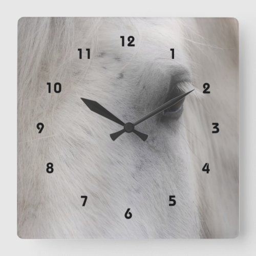 Wise Eye Of A Horse Animal Square Wall Clock
