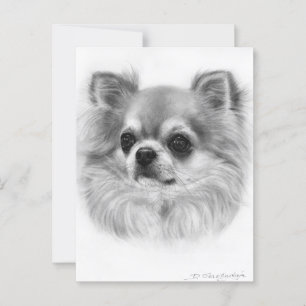 Wise Eyes Hand Painted Chihuahua Portrait Postcard