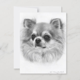 Wise Eyes Hand Painted Chihuahua Portrait Postcard