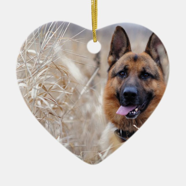 Wise German Shepherd Puppy Ceramic Ornament (Front)