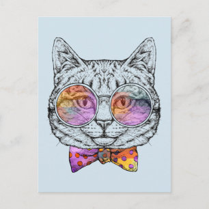 Wise Kitty Kat Postcard