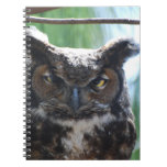 Wise Long Eared Owl Notebook