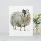 Wise Mother Sheep (Standing Front)