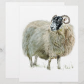 Wise Mother Sheep (Front/Back)