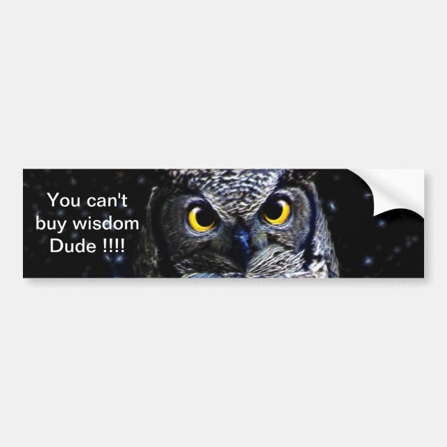 Wise old Owl and stars Bumper Sticker (Front)
