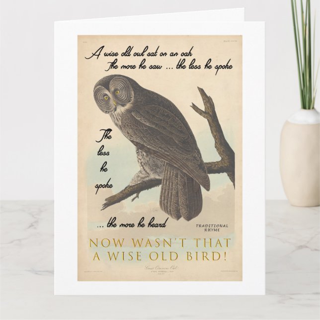 Wise old owl card (Front)