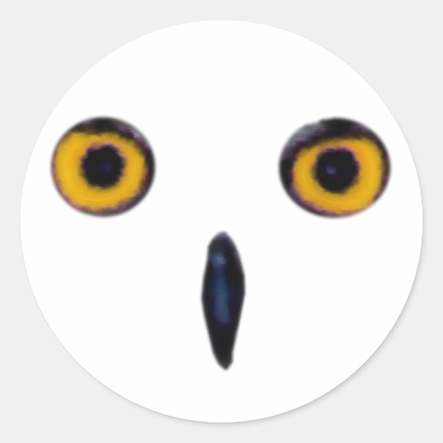 Wise Old Owl Eyes Classic Round Sticker (Front)