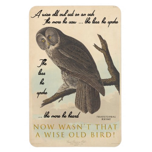 Wise old owl magnet