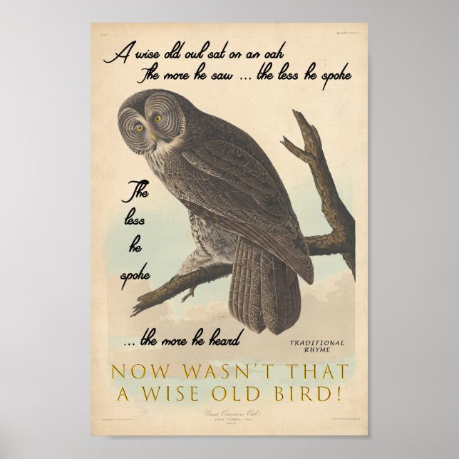 Wise Old Owl Poster (Front)