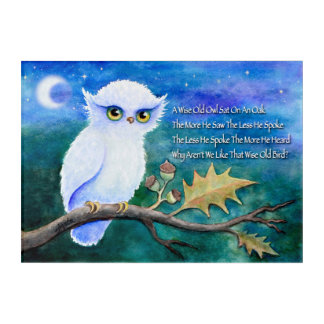Wise Old Owl Rhime Acrylic Print