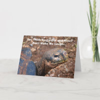 Wise Old Tortoise Happy Birthday Humor Card