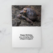 Wise Old Tortoise Happy Birthday Humor Card | Zazzle