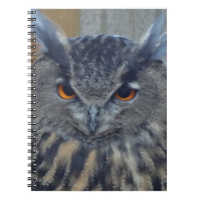 Wise One Notebook (Front)