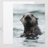 Wise Otter (Front/Back)