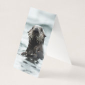 Wise Otter (Front)