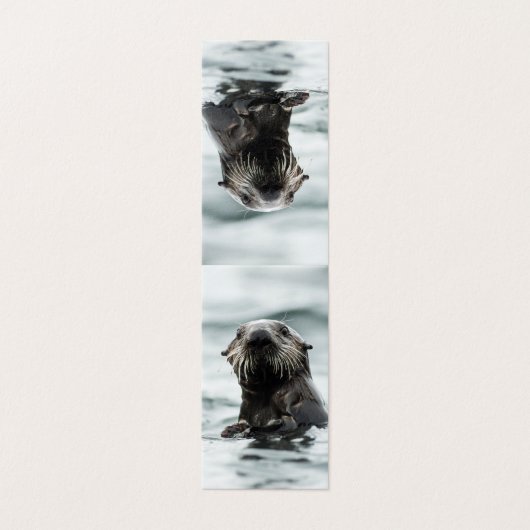 Wise Otter (Outside Unfolded)