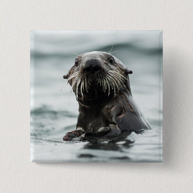 Wise Otter Button (Front)