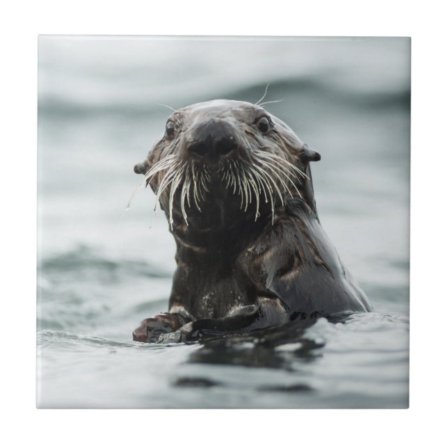 Wise Otter Ceramic Tile (Front)