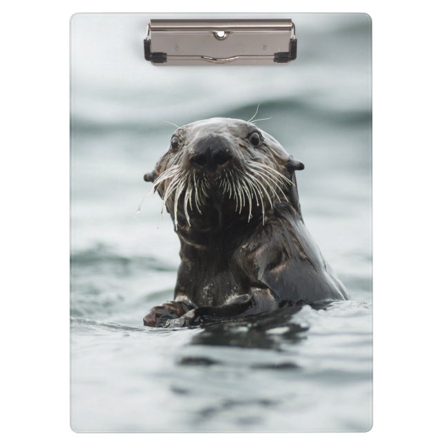 Wise Otter Clipboard (Front)