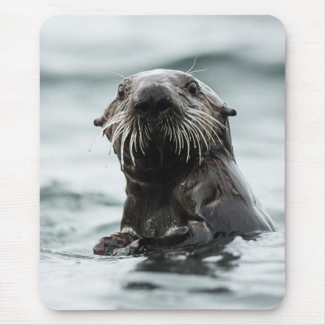 Wise Otter Mouse Pad (Front)