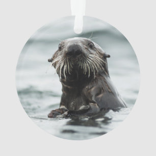 Wise Otter Ornament