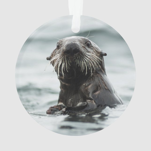 Wise Otter Ornament (Back)