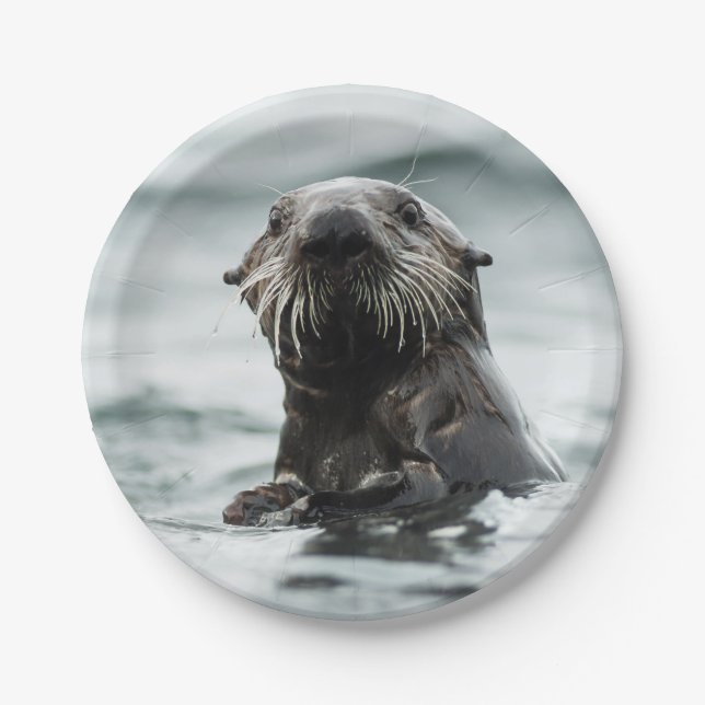 Wise Otter Paper Plates (Front)