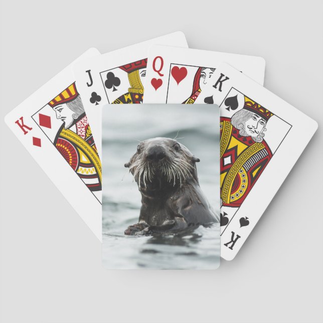 Wise Otter Poker Cards (Back)
