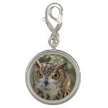 Wise Owl Charm