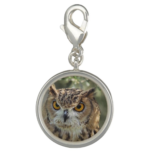 Wise Owl Charm (Front)