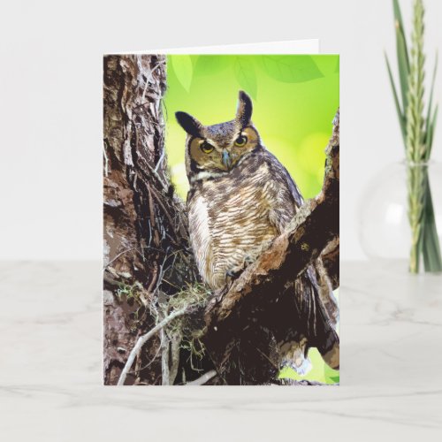 Wise Owl Tree Stylized Spring Green Leaves Blank Card