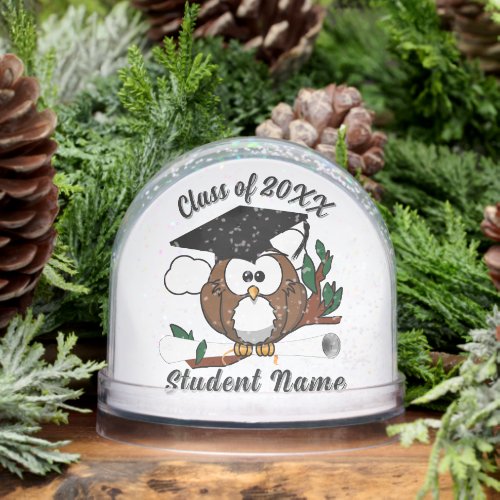 Wise Owl with Diploma Graduation Snow Globe