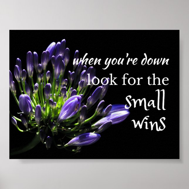 Wise words: ...look for the small wins poster (Front)