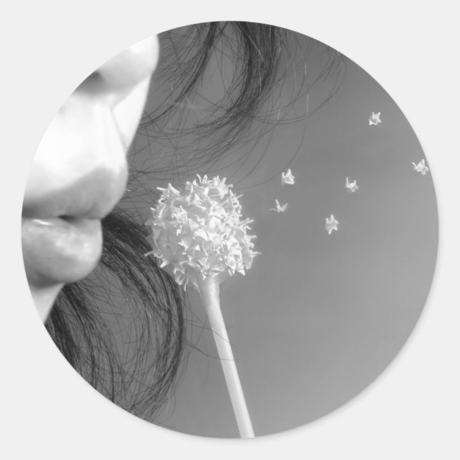 Wish Classic Round Sticker (Front)