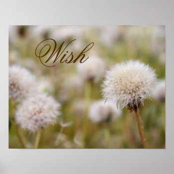 "wish" Fluffy Dandelion Field Poster by FindingTheSilverSun at Zazzle