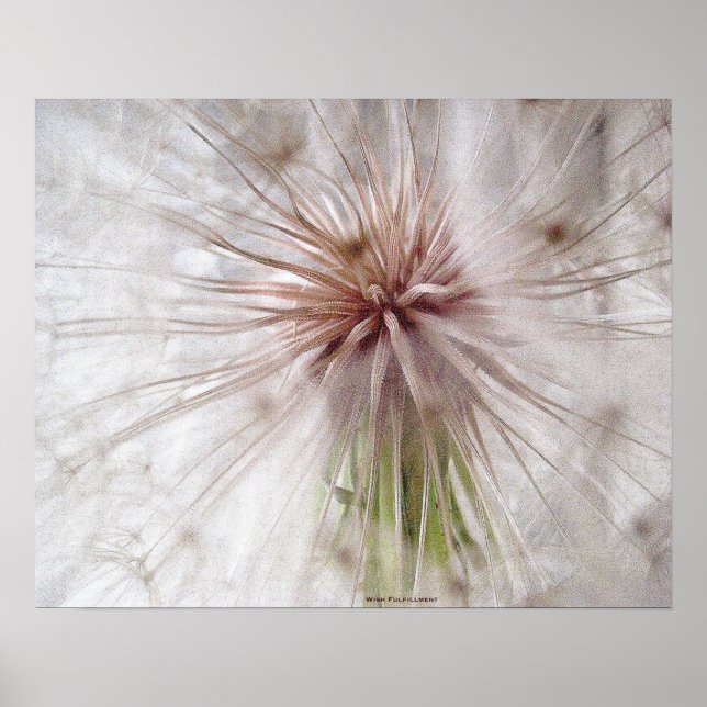 Wish Fulfillment Poster (Front)