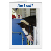 WISH I COULD SAY *HAPPY BIRTHDAY* IN PERSON TO YOU (Front)