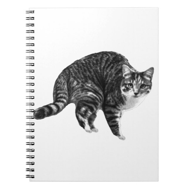Wish-List Tabby Pages Notebook (Front)